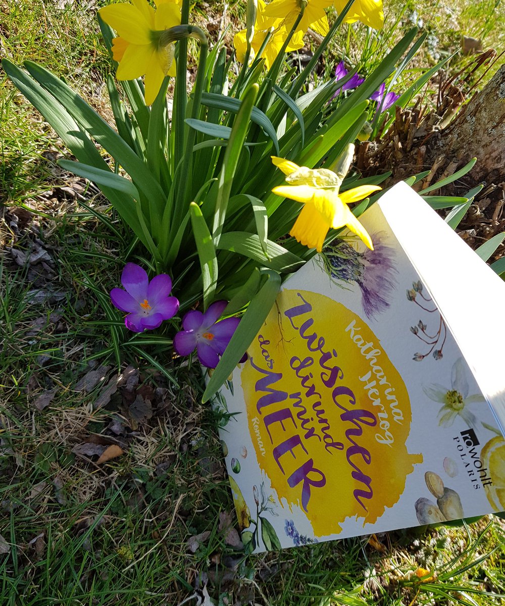 tesbucherblog's tweet photo. Eine neue Rezension hat den Weg auf meinen Blog gefunden und passt perfekt zu diesem frühlingshaften Wetter🌞
https://t.co/cryGUGR6Sq https://t.co/JQk6BHMzSI