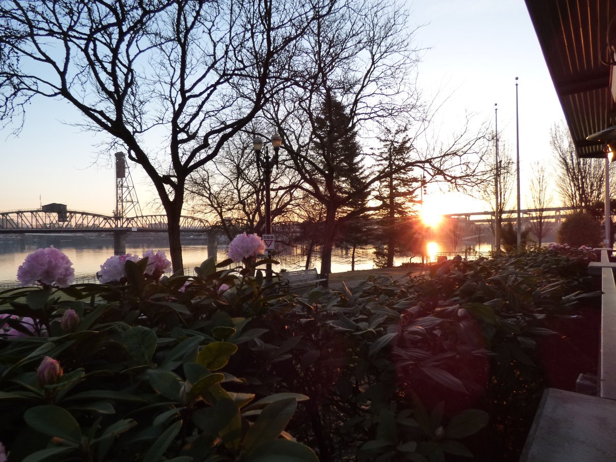 TravelerWeekend's tweet image. 22-March #Sunrise over the #Willamette #River  with friends

#StreetPhotographer #DayTrippingPortland #Oregon @DayTrippingPort #Travel daytrippingportland.com  #PDX via @DayTrippingPort