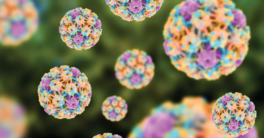 MedscapeOnc's tweet image. A novel handheld device that incorporates AI detects high-risk #HPV within 2 hours and performs just as well as biopsy. ms.spr.ly/6010T11BY #EAU2019