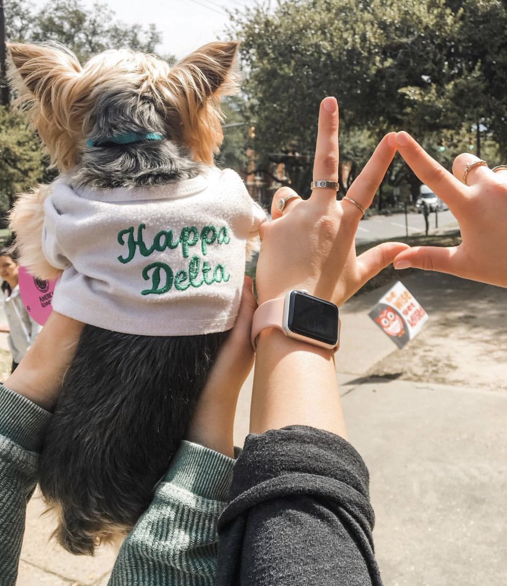 Happy #NationalPuppyDay to all of our KD pups! Share your puppy pictures with us below ⬇️ #KDBCIA