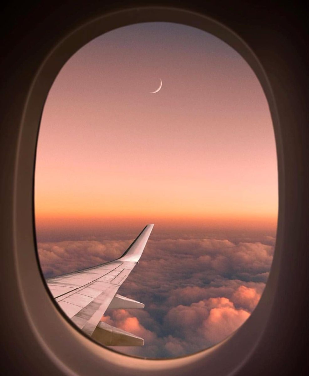 kimnini_bear's tweet photo. See you on the other side 🛫 https://t.co/0qYC1SoSAB