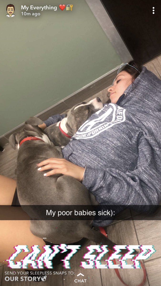 NorinaRomo's tweet photo. Hi everyone. I spent 7 hours at the vet tonight to find out my two babygirls are suffering from parvo disease, which has a 91% mortality rate for puppies if left untreated. Please read my story and share to help me save my beautiful girls😭♥️🙏🏼 https://t.co/kx8B47AO4z https://t.co/yKVRzkhTG3
