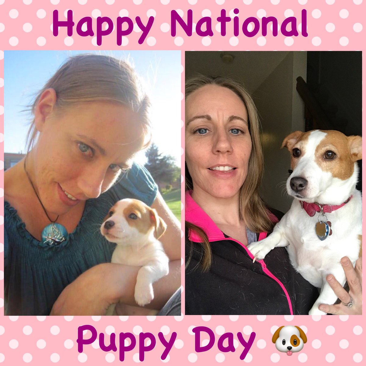 genie81's tweet photo. Daisy 2012 and now 
#Fox2Weekend @MaurielleFOX2 https://t.co/smpS1kQf0Z