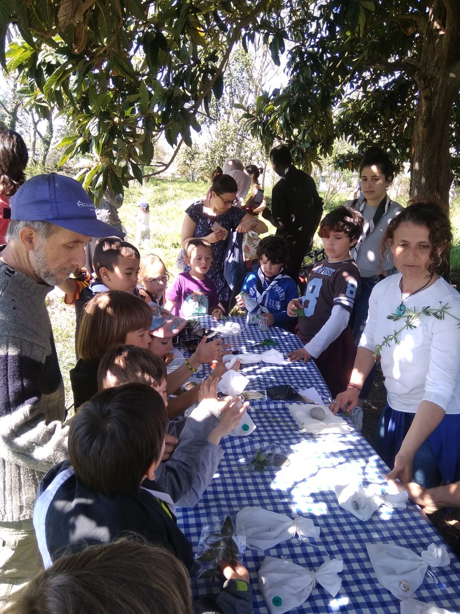 ateneusalt's tweet photo. Gran matí de #dissabtesPetitAteneu!
Jornada de descoberta a l'hort de l'Ateneu gràcies a la #comiPagesa!
#femAteneuSalt #tuEtsAteneu https://t.co/w5qpKND6h4