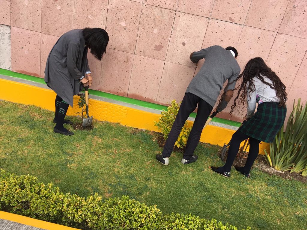 HRAB9's tweet photo. Ayer fue un día lleno del cuidado de platas y áreas verdad gracias a los alumnos y maestros que ayudan a conservar un plantel más verde. #ProgramaZonaVerde @israeljeronimol @CecytemTultitla @ElenaGarciaMtz_ @lauraorodriguez @lizysilver https://t.co/HQU6cAk35P