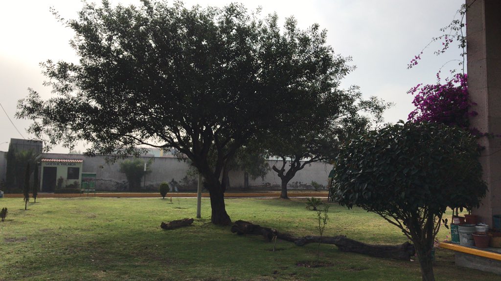 HRAB9's tweet photo. Ayer fue un día lleno del cuidado de platas y áreas verdad gracias a los alumnos y maestros que ayudan a conservar un plantel más verde. #ProgramaZonaVerde @israeljeronimol @CecytemTultitla @ElenaGarciaMtz_ @lauraorodriguez @lizysilver https://t.co/HQU6cAk35P