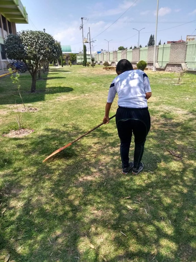 HRAB9's tweet photo. Ayer fue un día lleno del cuidado de platas y áreas verdad gracias a los alumnos y maestros que ayudan a conservar un plantel más verde. #ProgramaZonaVerde @israeljeronimol @CecytemTultitla @ElenaGarciaMtz_ @lauraorodriguez @lizysilver https://t.co/HQU6cAk35P