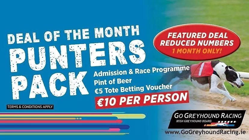 Shelbourne Park Greyhound Stadium tweet media