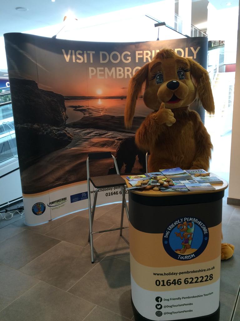 adamaccesspoint's tweet photo. Get down to @CliftonDownSC this weekend and meet @DogTourismPembs who would love to chat with you about the wonderful county of Pembrokeshire, where both you and your dog can explore or relax in the beautiful scenery 
#Pembrokeshire #dogs #cliftondown https://t.co/KosOdlxixl