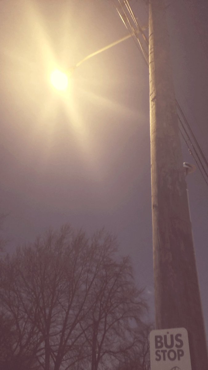 butterflyfading's tweet photo. Got up really early yesterday morning and got on the bus to go downtown and spent most of the day walking around and listening to music. #WhenLifeTurnsToShitTurnToMusic 
#earlymorningadventure https://t.co/fsTnTaoiz8