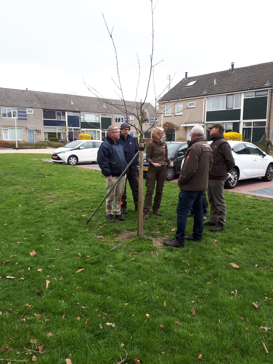 Cursus snoeien van jonge  #fruitbomen in #Hasselt #hoogstambrigadezwartewaterland