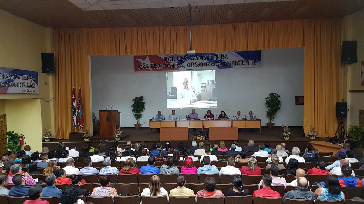 Foto: @aparedesrebelde 