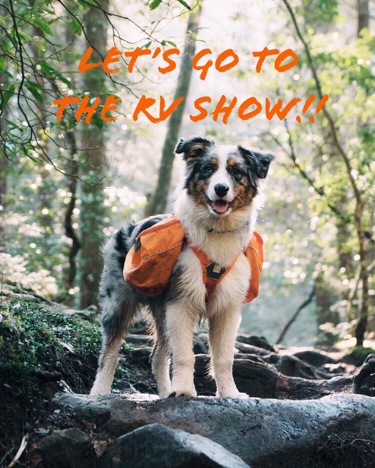 KitchenerRvShow's tweet photo. Let’s go to the RV Show!! Are you attending today??

Doors are open 10:00AM - 7:00PM! 

Come see what’s on display and kickstart your summer! 

#KitchenerRVShow #ORVDA #GoRVingCanada #BringBackWildhood #SummerVacation https://t.co/RWVeLjWtw5