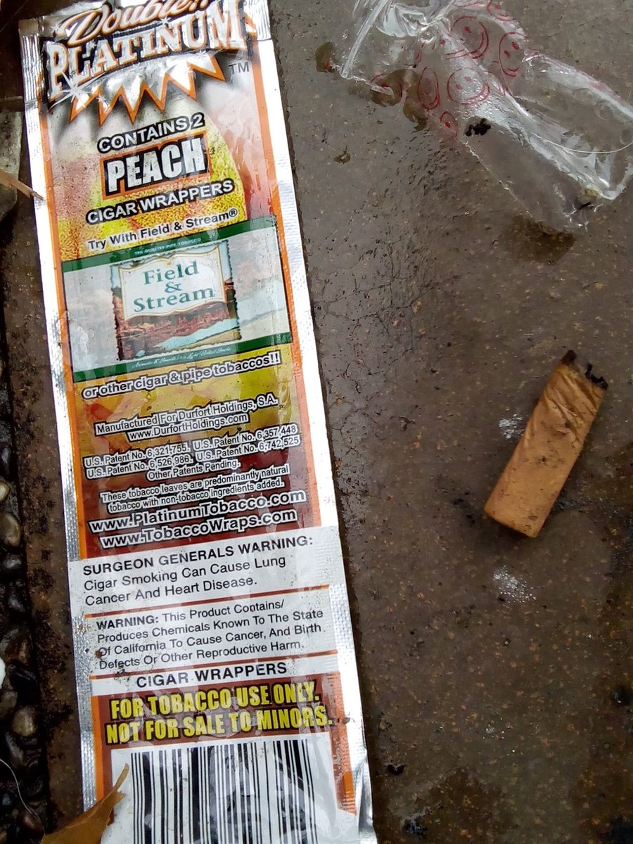 ¿Será que se necesita el saber otro idioma para poder comprender?