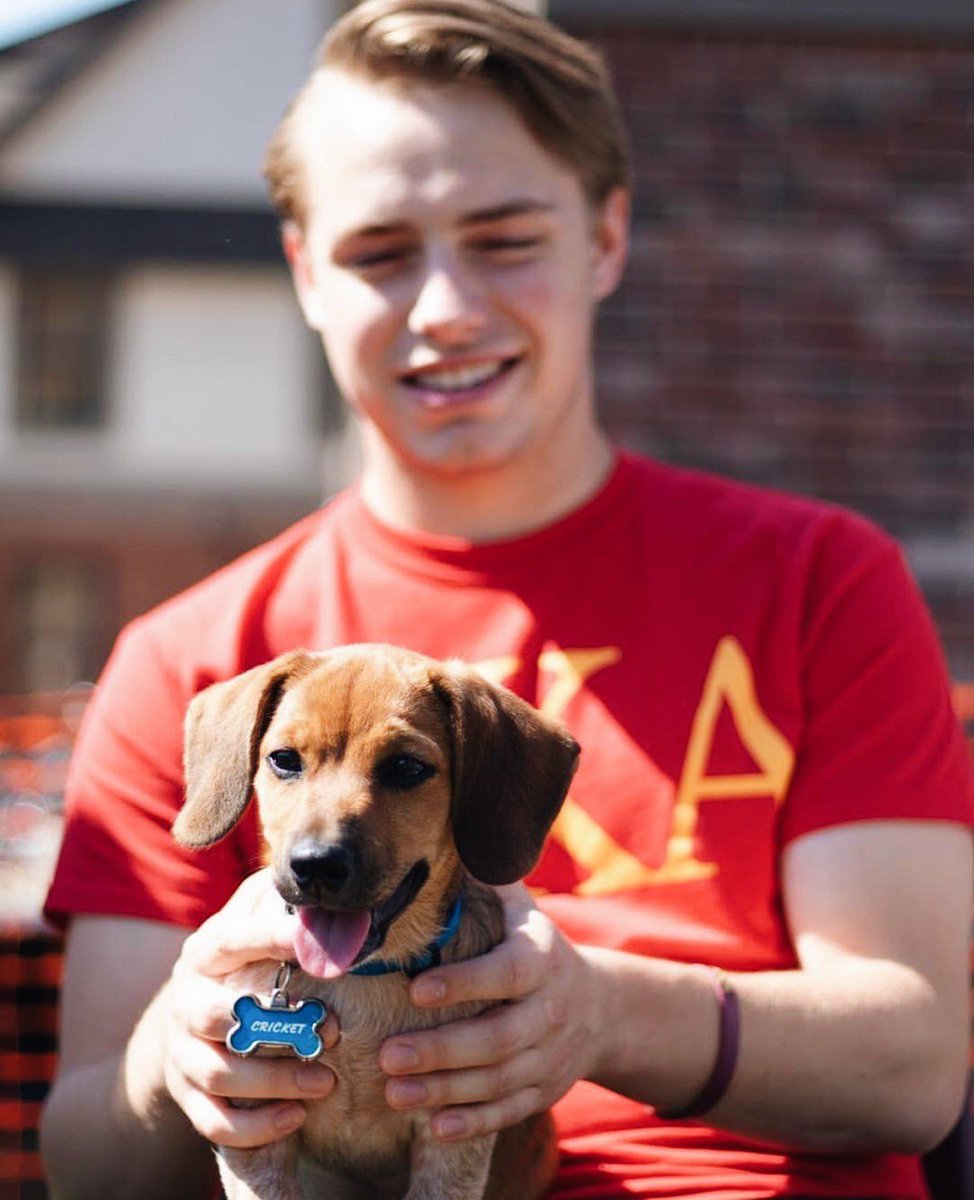 PiKappaAlpha's tweet photo. Best. Day. Ever. #NationalPuppyDay #PIKEPups https://t.co/IXETqzbnCb
