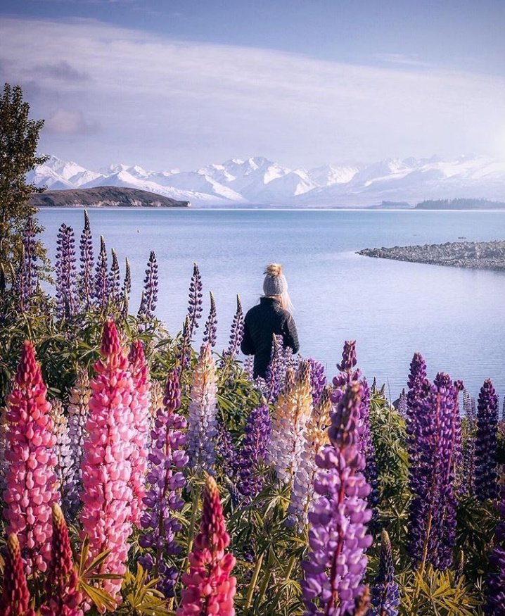 @Ma77uT <a href="/WebOz_/">✿✈Pєкємια✈✿</a> 🇹.🇪.🇦.🇲
🇫❥#TFFLove
🇫╰დ╮
🇱𝔈𝔫𝔳𝔦𝔞 𝔲𝔫 𝔐𝔇 𝔞:
🇴 
🇻 ╭❤️<a href="/WebOz_/">✿✈Pєкємια✈✿</a> 
🇪╰⌘↝@Ma77uT
💕╰დ╮
💢Fεlιz Sάвαdσ, иσ σlνιdεѕ ѕεя ƒεlιz!