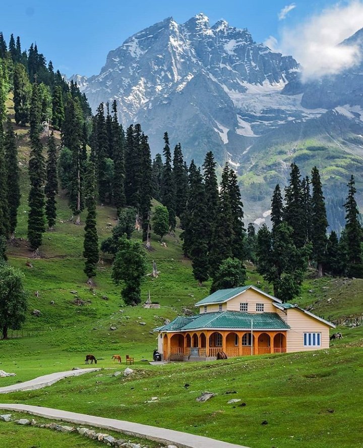 @Ma77uT <a href="/Tarachemv/">Soy Marcela 😘</a> <a href="/6tito6/">®Tito Martínez™</a> <a href="/MFF2711/">Cнιкι⚪️🔴⚪️</a> <a href="/Tana_Pato/">🍃🌷ƬαƝα🌷🍃</a> @Gigi_Cata <a href="/GgeJuan/">JuanSGE</a> <a href="/CarlonetCarlo/">Emmanuel</a> 🇹.🇫.🇫.🇱.🇴.🇻.🇪
♥️➲@Ma77uT
.•´ ¸.✶*.
┋🌹┋➲@tarachemv 
🎀➲<a href="/6tito6/">®Tito Martínez™</a> 
┋🌹┋➲<a href="/MFF2711/">Cнιкι⚪️🔴⚪️</a>
🎀➲<a href="/Tana_Pato/">🍃🌷ƬαƝα🌷🍃</a> 
🎎#TFFLove
┋🌹┋➲ @Gigi_Cata
🎀➲<a href="/GgeJuan/">JuanSGE</a> 
┋🌹┋➲<a href="/CarlonetCarlo/">Emmanuel</a> 
🎀➲
🎐➲◤#𝓕𝓮𝓵𝓲𝔃𝓢𝓪́𝓫𝓪𝓭𝓸◥
¸.✶*
*2️⃣.0️⃣.1️⃣.9⃣*