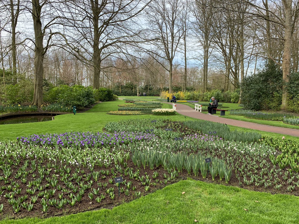 Looking forward to see your beautiful garden at Keukenhof in bloom <a href="/PenningsBulbs/">PenningsBulbs 🌷</a> 💛🌷🙋🏼‍♀️