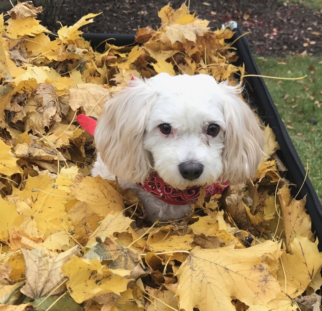 KristinSimonis's tweet photo. @WISCTV_News3 https://t.co/R8hDvpjsEN