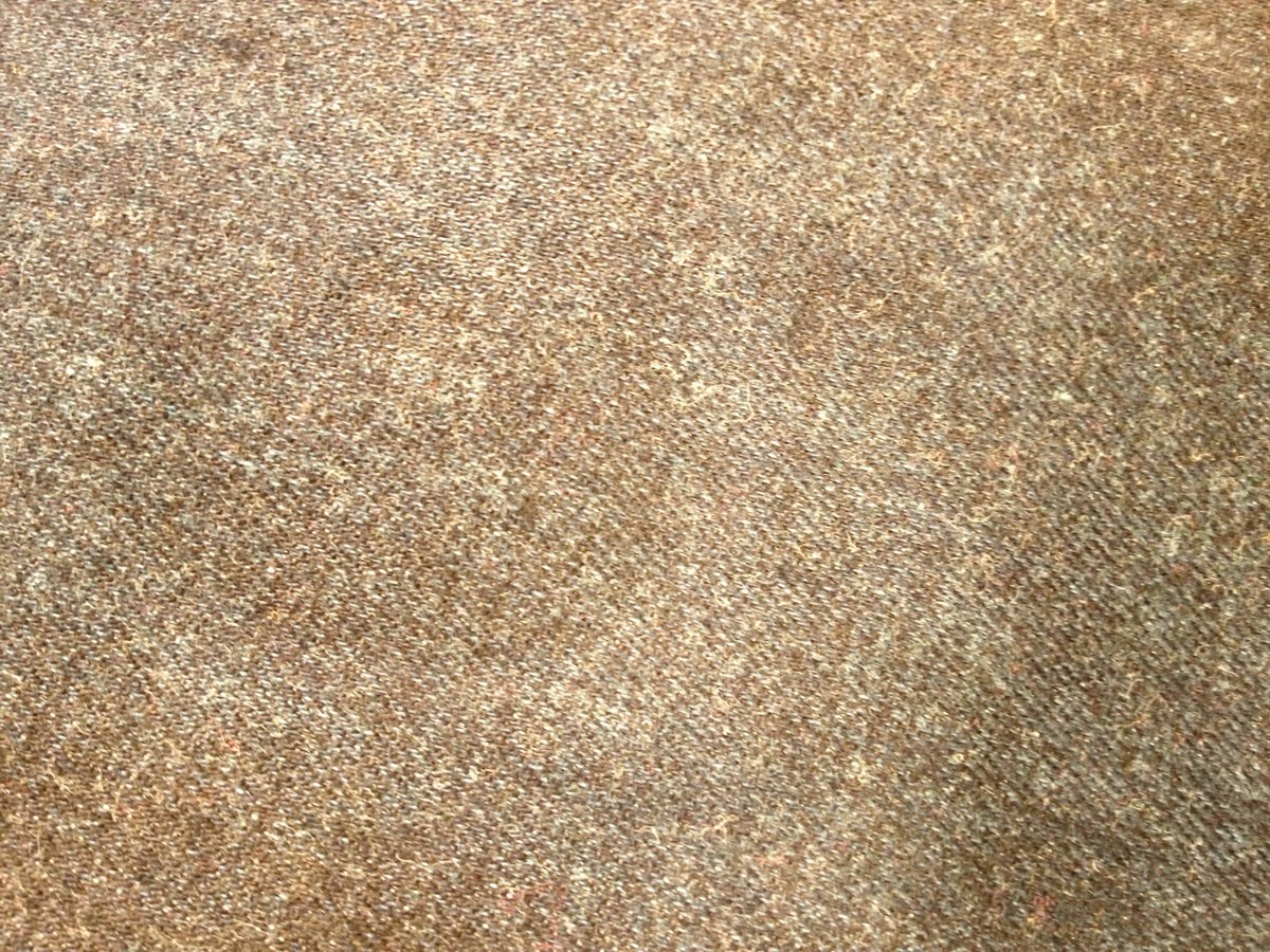 digitalbuggu tweet media