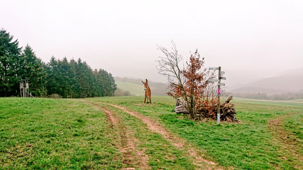 Judith_Claassen's tweet photo. Ich scheine wohl ein Fleckchen Erde Deutschlands gefunden zu haben, an dem heute keine Sonne scheint. Macht nichts. Auch so ist Wandern super 😊🐕 https://t.co/JWawujXb3x