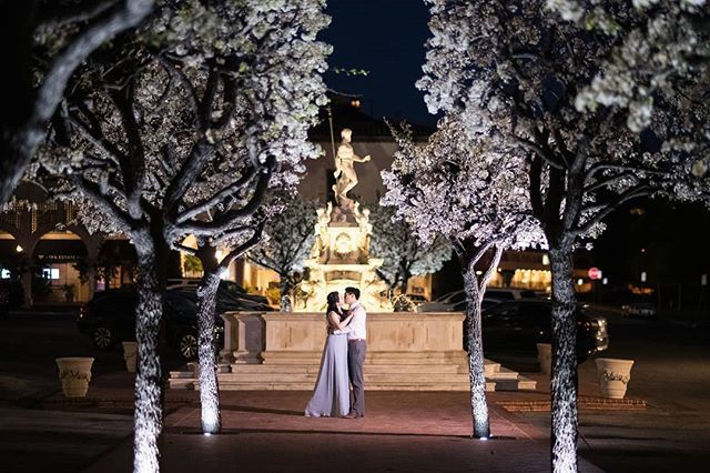 HOGevents's tweet photo. To have and to hold from this night forward and to forever. ✨💕 #happilyeverrims
____________________
Photographer: @blue22photography
____________________
#heartsofgoldevents #teamhearts #weddings #wedding #givebackbride #weddingday #instawedding #as… https://t.co/uorPiKsSmQ https://t.co/ixaGsmAju4