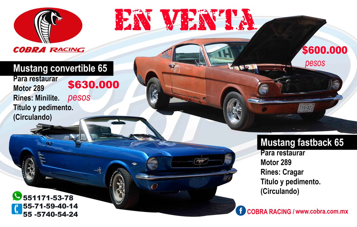 Mustangday Magazine tweet media