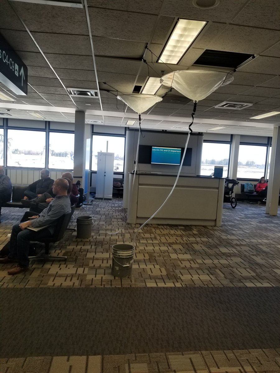 grassncows's tweet image. Airport art installation #MSP #PracticalArt