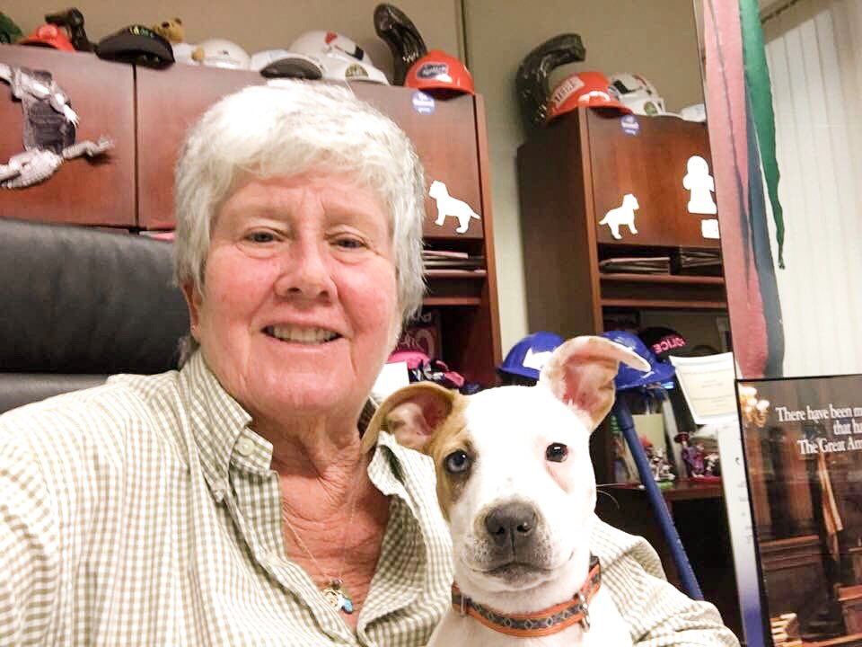 MiamiDadeBCC's tweet photo. Happy #NationalPuppyDay from Commissioner Sally Heyman & the newest addition to the District 4 team, Dali!
@PetsToLove always has #ASDPets looking for a fur-ever home. Stop by one of their events this weekend! https://t.co/gssR9B3D8Z