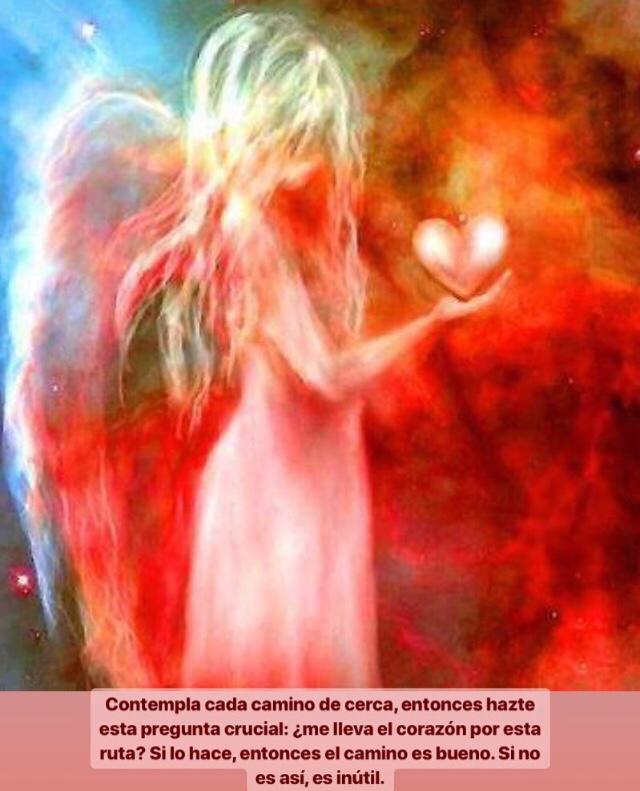 Mediumvidente_'s tweet photo. #carloscastaneda #contemplar #contemplate #cadacamino #eachpath #decerca #closely #pregunta #ask #corazon #heart #buencamino #goodpath #meditacion #meditation #yoga #espiritual #spiritual #inspiracion #inspiration #frases #quotes #espiritualidad #spirituality . https://t.co/rtUVKPaXQ9