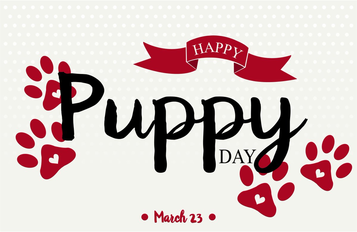 dubli's tweet photo. There's no love like #puppylove.
Happy National Puppy Day!
#puppyday #nationalday #funholidays https://t.co/ejM73T1u5r