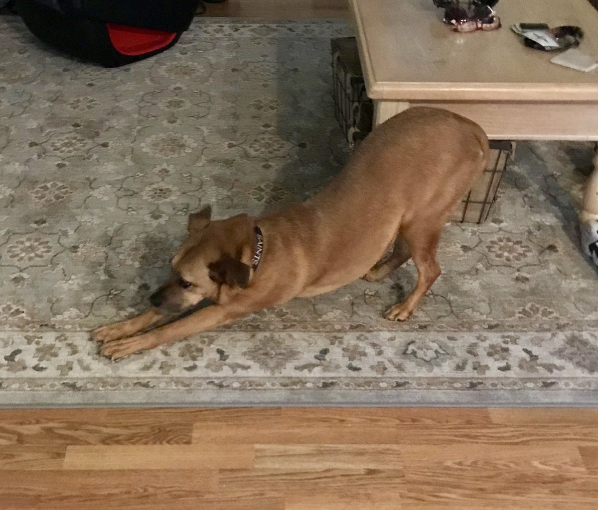 Hail to National Puppy Day #RubyGirl