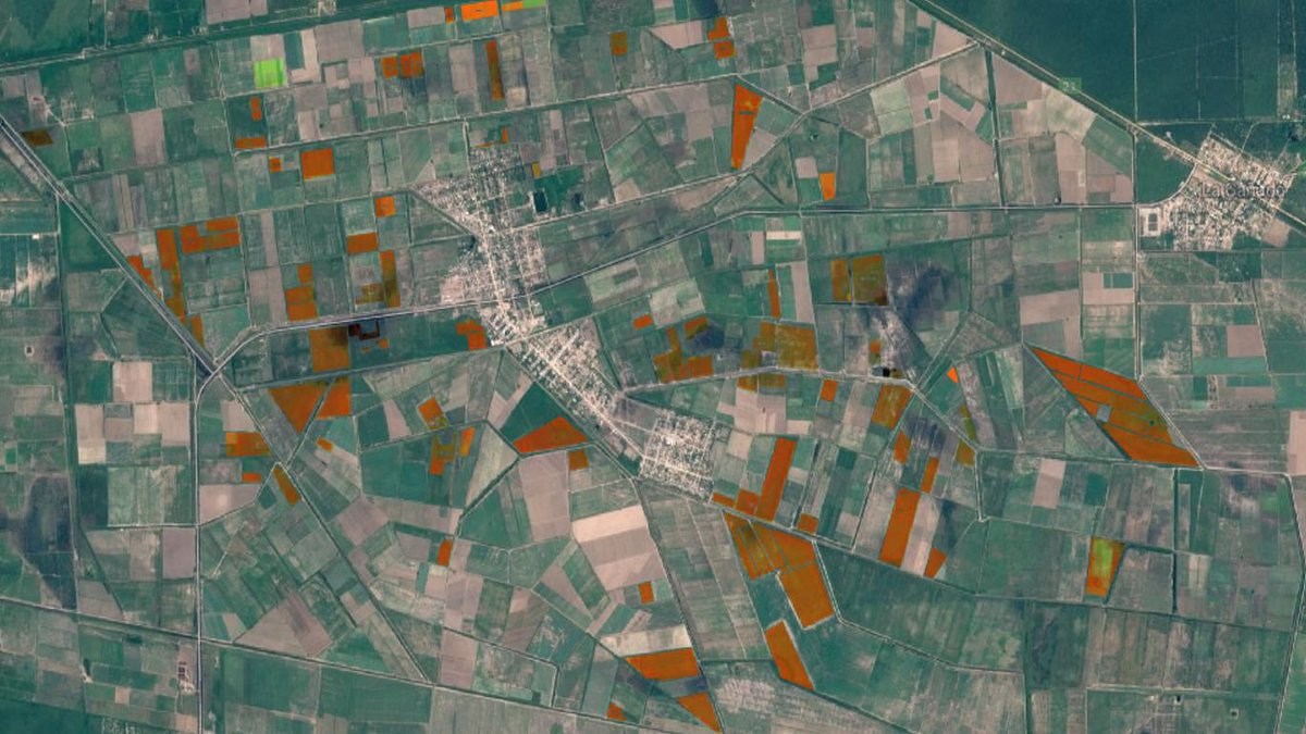elcoyuyo's tweet image. #EcoSat celebra el #IntlForestDay analizando 2000 has de #bosques y lotes agrícolas degradados que han sido restauradas con mas de 1,5 millones de algarrobos blancos en 2006 por @GADE_Argentina,y preparamos un nuevo monitoreo incorporando #drones y #CloudComputing
#restoration
