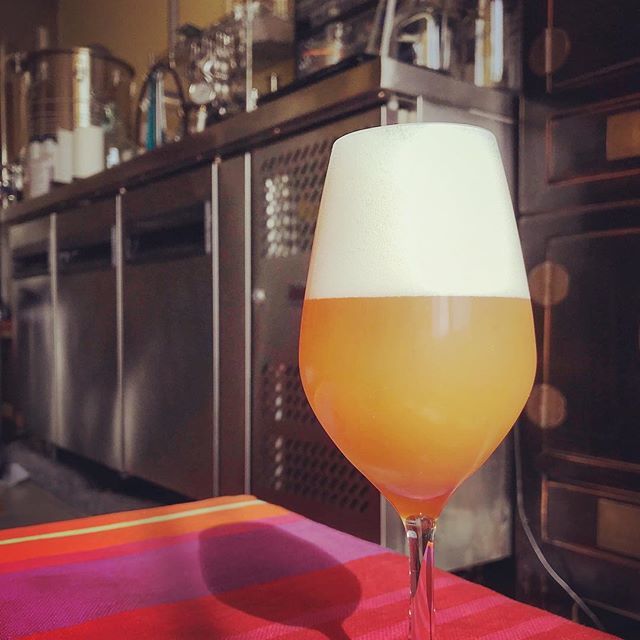 7floorbrewing's tweet photo. Thirty two degrees IPA. Fermented with kveik strain at 32°c... next time i put more hops! #homebrew #homebrewing #kveik #ipa #craftbeer #hazy #hazyipa #frenchbeer https://t.co/FWv78Ts34o https://t.co/Hckr3tRPcC
