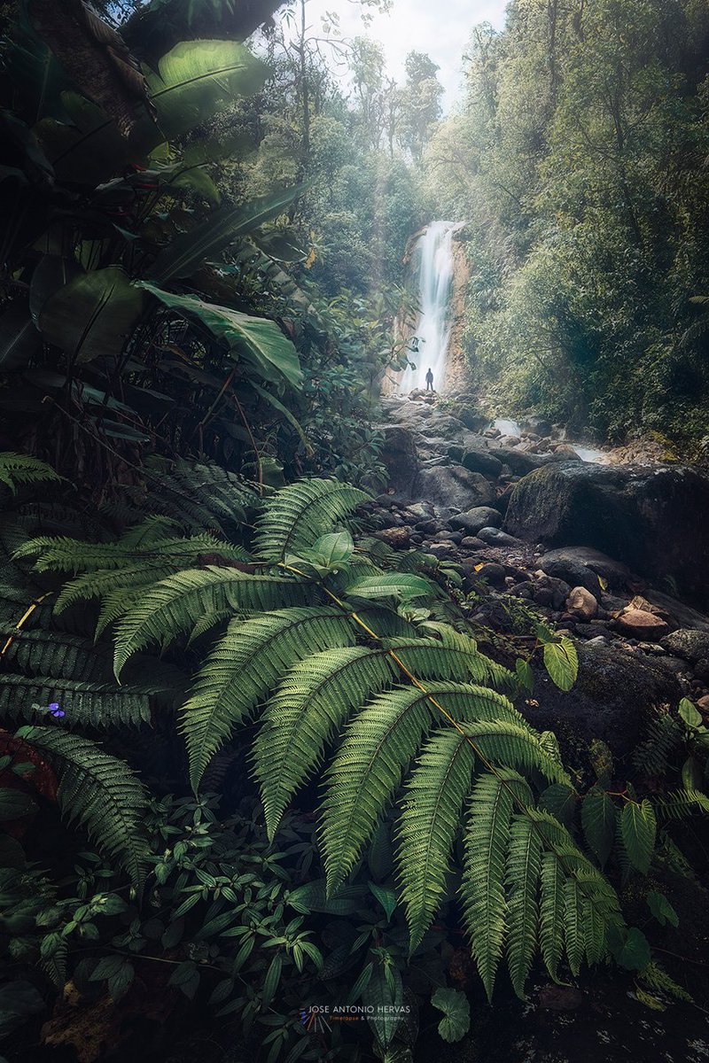 Cataratas Azules "Costa Rica"
Para ver en mejor calidad:
500px.com/photo/29940435…