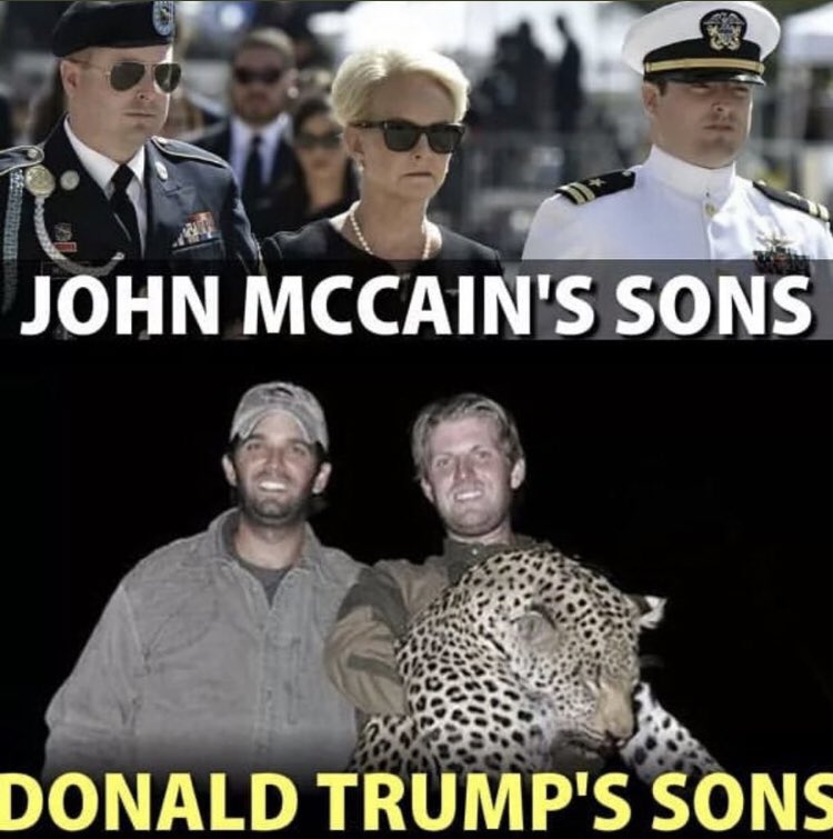 Tellycaster1970's tweet photo. @DavidWe25706849 @realDonaldTrump https://t.co/AEOB956cpz