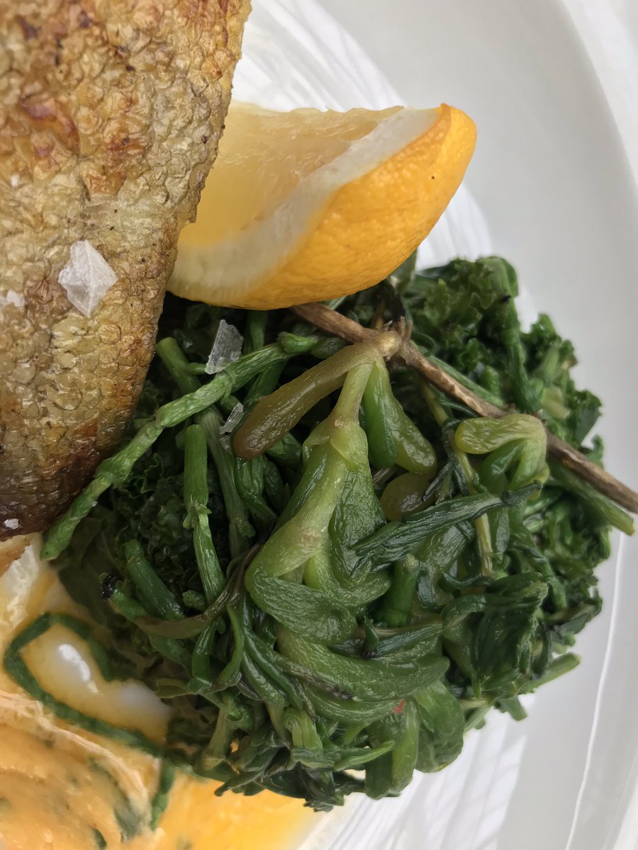nickofthyme6's tweet photo. Just enjoyed and amazing lunch of roast cod, cafe du Paris hollandaise and sea vegetables in the crusting pipe Covent Garden @crustingpipe #roastcod #seafood #hollandaise #seavegetables #deliciousfood #London #Coventgarden https://t.co/DN4k0eK25P