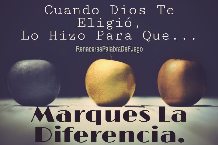 RenacerasDe's tweet photo. Dios Te Eligió... Tu Muestra Tu Descendencia...
#SeTrataDeFe ☝ #RenacerasPalabraDeFuego 👑 https://t.co/aeDVKOTp5C