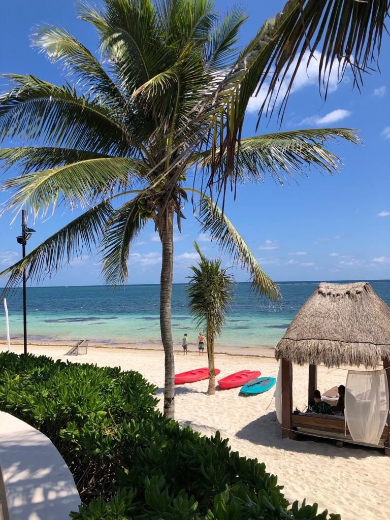 AzulResorts's tweet photo. We wish you were here! #AzulBeach #AzulBeachLife https://t.co/0QUXbpe4WS