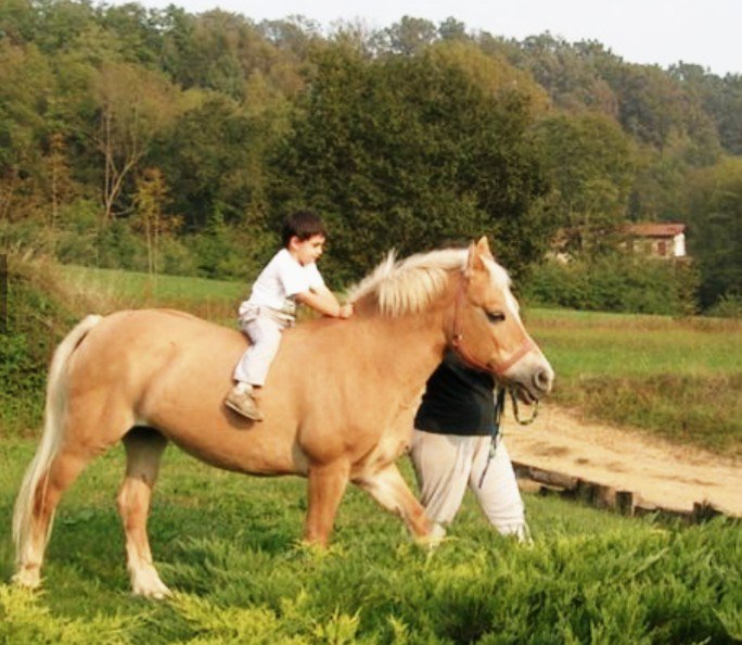 <a href="/MiguelA83640062/">Miguel Angel</a> @Ma77uT <a href="/WebOz_/">✿✈Pєкємια✈✿</a> <a href="/Guiller26628445/">Guillermo Roma</a> <a href="/FilippoIovino/">Filippo Iovino</a> <a href="/fitoazul1/">fitoazul  #TFFLOVE</a> @solodimeernesto <a href="/PEDROMIGUEL_21G/">🚙🅿edr🅾🚒🕊10K</a> <a href="/Mayorga555/">Mayorg'a</a> @Agatologos 🇹.🇫.🇫.🇱.🇴.🇻.🇪
♥️➲<a href="/WebOz_/">✿✈Pєкємια✈✿</a>
.•´ ¸.✶*.
┋🌹┋➲<a href="/MiguelA83640062/">Miguel Angel</a> 
🎀➲<a href="/Guiller26628445/">Guillermo Roma</a> 
┋🌹┋➲<a href="/FilippoIovino/">Filippo Iovino</a>
🎀➲<a href="/fitoazul1/">fitoazul  #TFFLOVE</a> 
🎎#TFFLove
┋🌹┋➲@solodimeernesto 
🎀➲<a href="/PEDROMIGUEL_21G/">🚙🅿edr🅾🚒🕊10K</a>
┋🌹┋➲<a href="/Mayorga555/">Mayorg'a</a>
 🎀➲@Agatologos
🎐➲◤#𝓕𝓮𝓵𝓲𝔃𝓢𝓪́𝓫𝓪𝓭𝓸◥
¸.✶*
*2️⃣.0️⃣.1️⃣.9⃣*