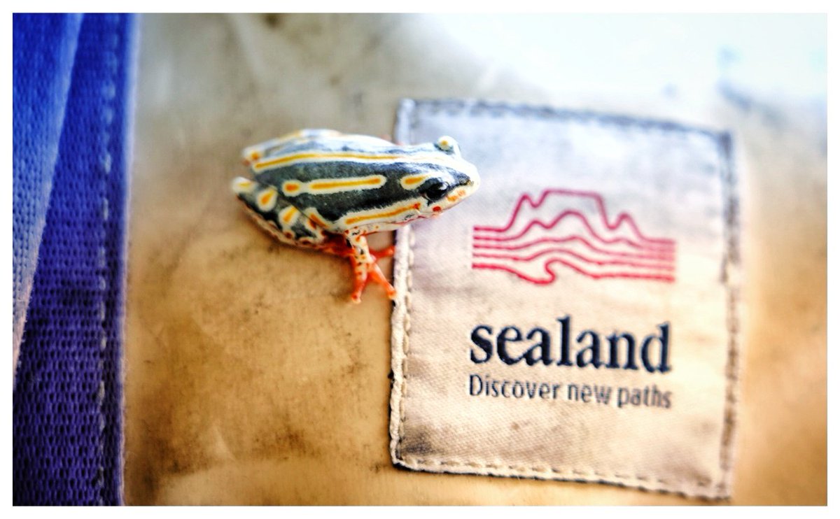 JacqMaraisPhoto's tweet photo. Our @sealandgear kit going local in #mozambique. Great packs &amp; duffels, 100% #repurposed &amp; #recycled materials. 📸 on @SonyXperiaZA 🙌🏻 // @gotravelbug @TribalTourist @TravelGround @SPOT_Africa @isuzusa @ParkscapeSA @OZone_africa #discovernewpaths #sonyxperiaza #africa #travel https://t.co/cQEAjmqk3D