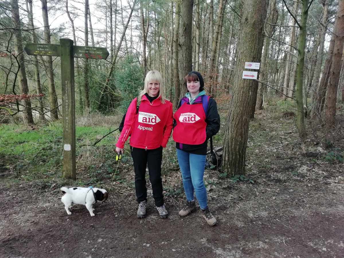 STMCAdofe tweet media