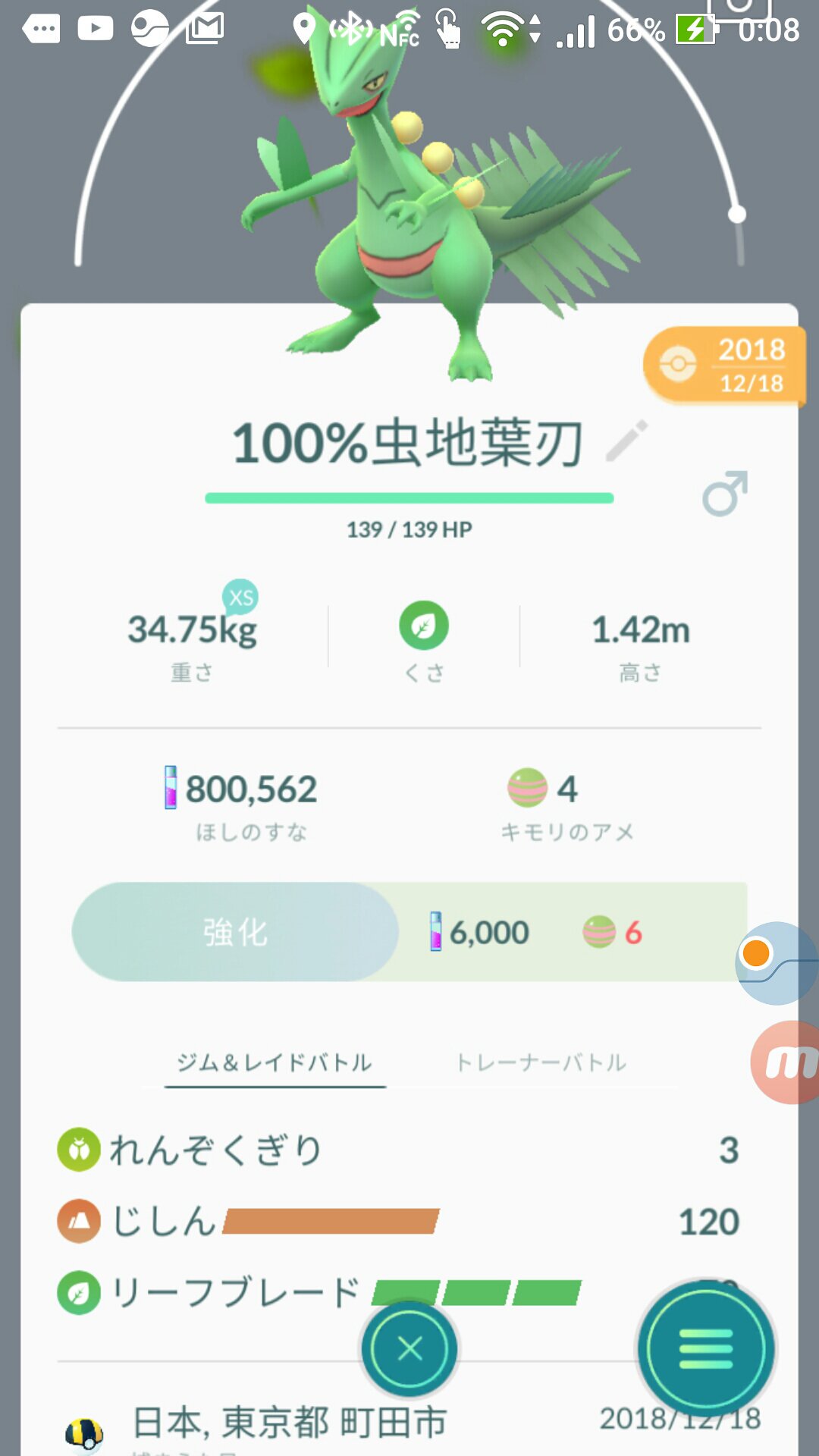 リーフブレード Twitter Search Twitter