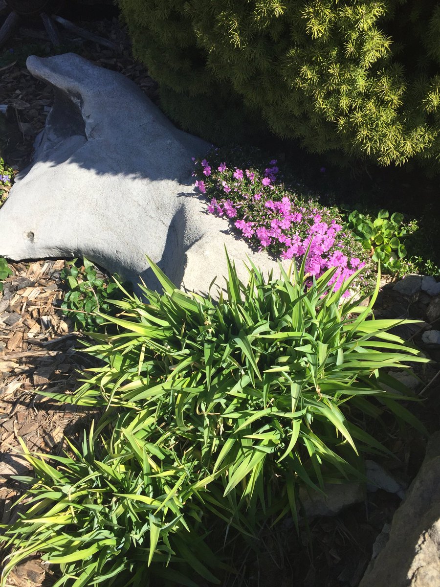 TrueWestCamp's tweet photo. Spring is in the air! The gardens ⁦@TrueWestCamp⁩ are starting to bloom and so is the camping season!  Can’t wait to see you all this spring. ⁦@BigSouthForkNPS⁩ is waiting! https://t.co/3iNTCga86I