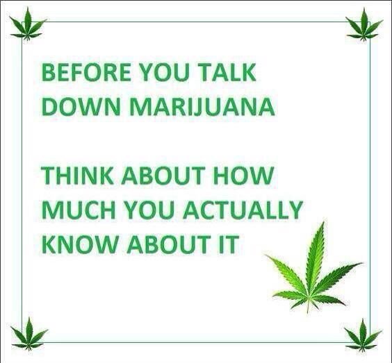 THCish's tweet image. Truth! #Marijuana/#Cannabis/#Hemp 

#THCish

#GrowLight #LED #HSP #MH #HID #CFL #Edibles #Marihuana #Ganja #Pot #Weed #Kush #CBD #CBDoil #MedicalMarijuana #MedicalCannabis #LegalizeIt #Cronic #MMJ #Colorado #Alaska #Nevada #Florida #Maine #Oregon #Michigan