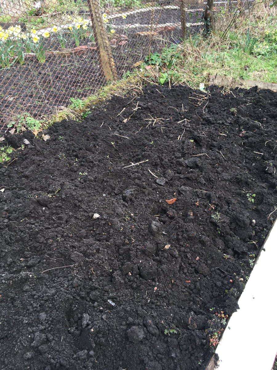 kaysillars's tweet photo. Digging started #Brexitprep https://t.co/iy4COEOPgm