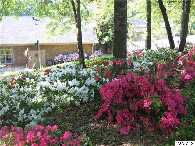 Verner school district 4 bedrooms 2.5 baths FOR RENT...June 15, call 205-345-4600 ext 302 Delview Properties