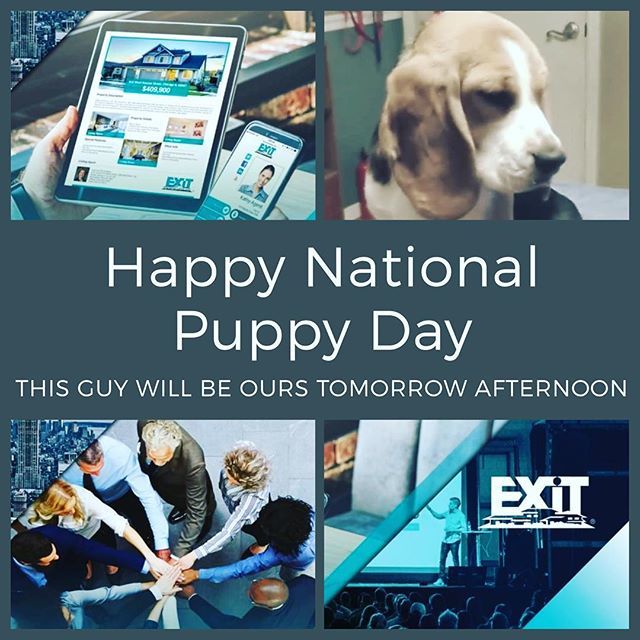 waynefrankel's tweet photo. Happy National Puppy Day🐶Excited for this guys arrival tomorrow #newpup #nationalpuppyday🐾 #exit #lovexit #exitrealty #waynesexitplan🏡🚪🔑 https://t.co/v4mqgQ5aoI https://t.co/zhPWQrkPLa