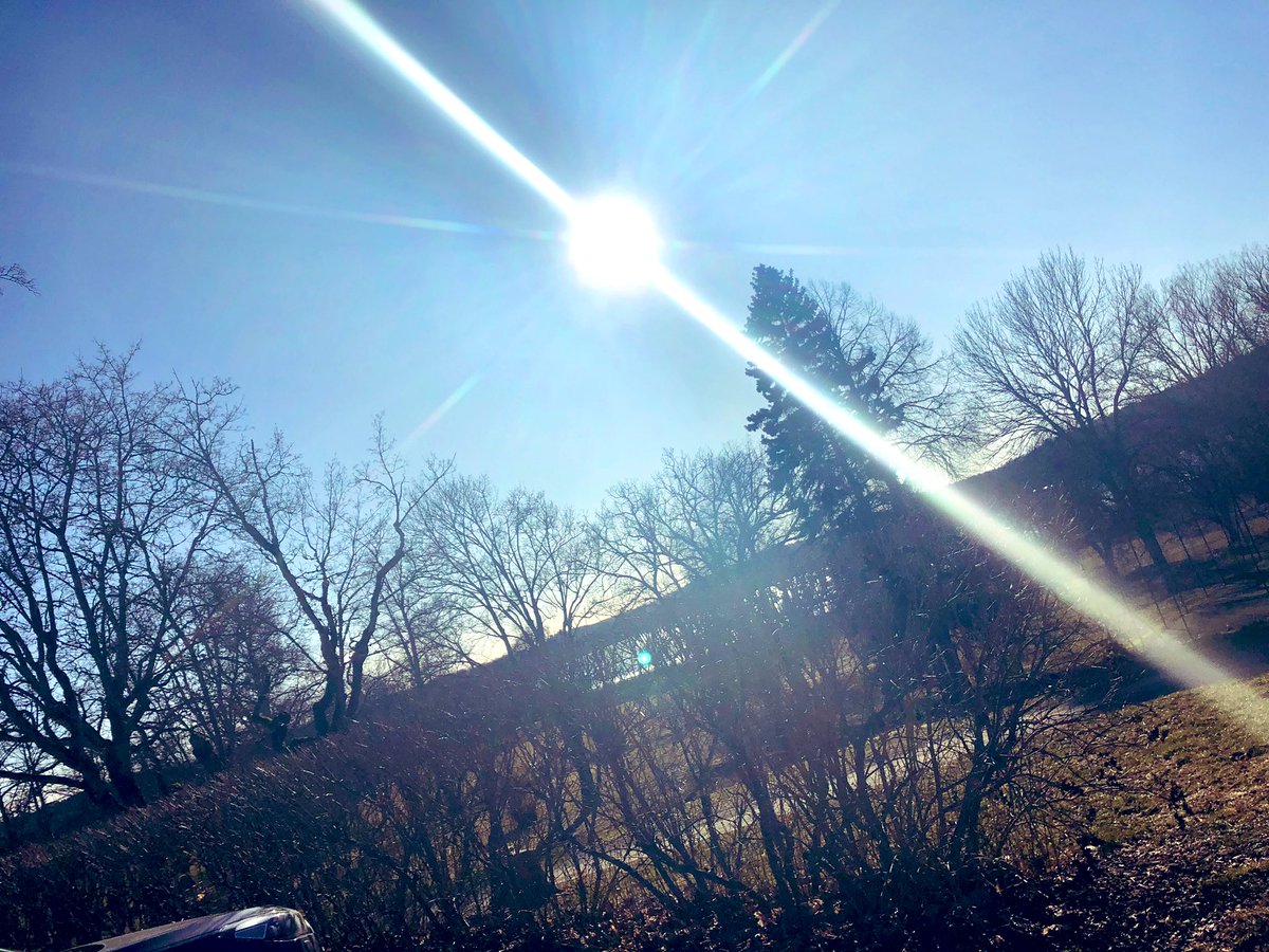 StockholmStefan's tweet photo. Spending the weekend at #häringecastle with wife and dogees. Great Swedish weather #bostonterrier #soonspring https://t.co/r4jweNdlp3