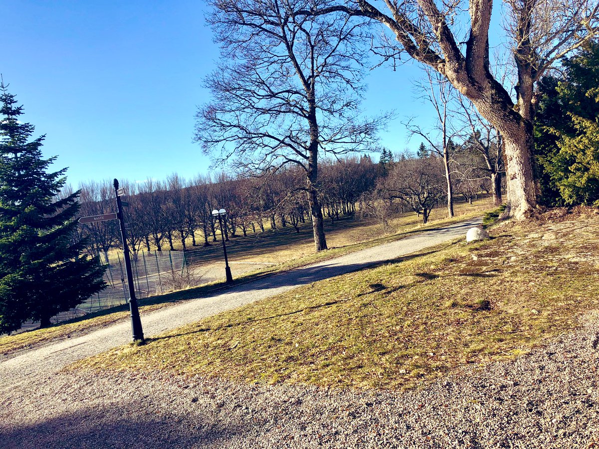 StockholmStefan's tweet photo. Spending the weekend at #häringecastle with wife and dogees. Great Swedish weather #bostonterrier #soonspring https://t.co/r4jweNdlp3